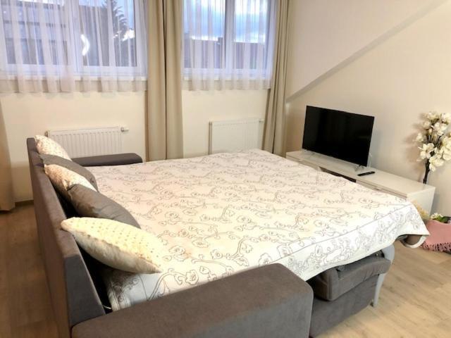 Appartement Rezidence Weisovka à Ceske Budejovice Extérieur photo