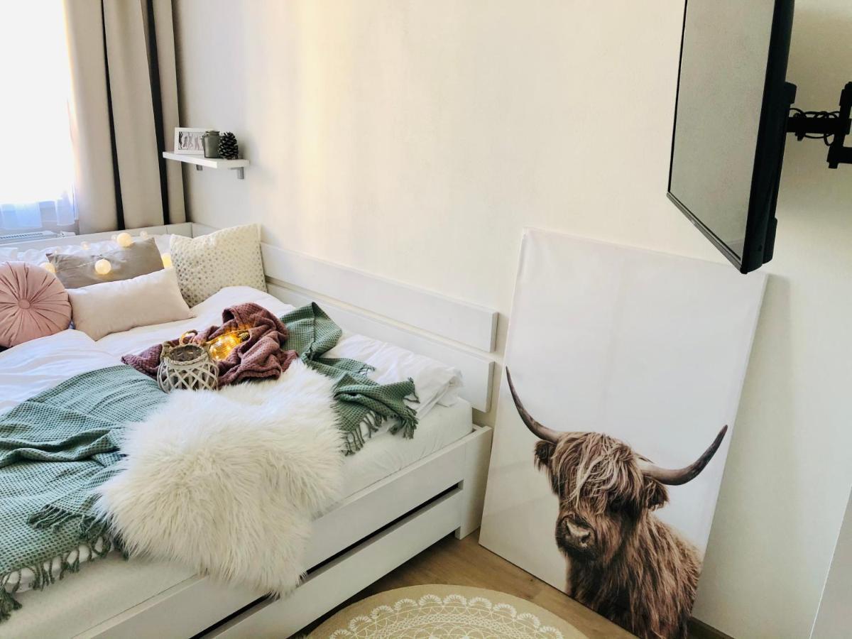 Appartement Rezidence Weisovka à Ceske Budejovice Extérieur photo