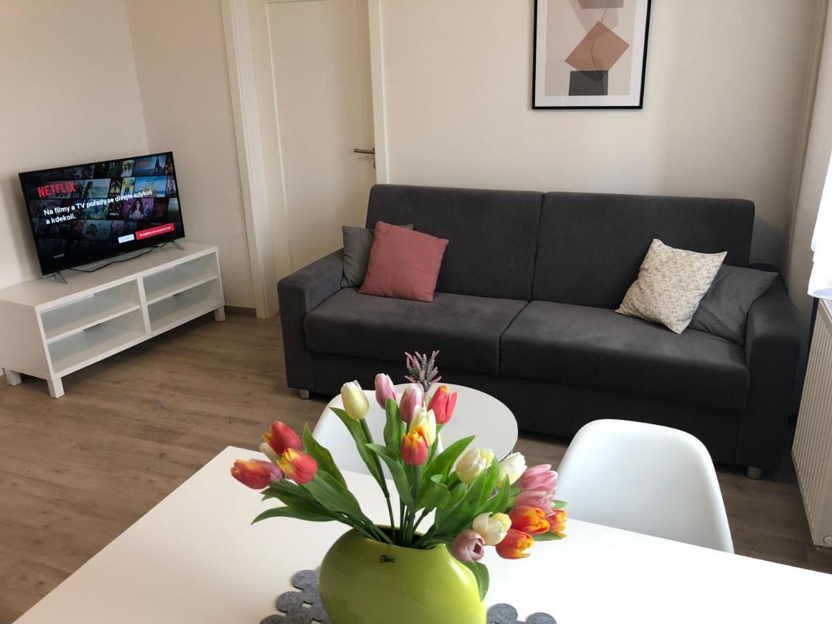 Appartement Rezidence Weisovka à Ceske Budejovice Extérieur photo